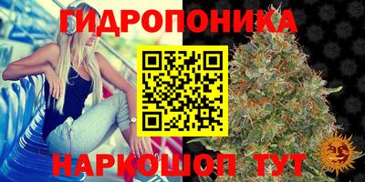 mix Дубна