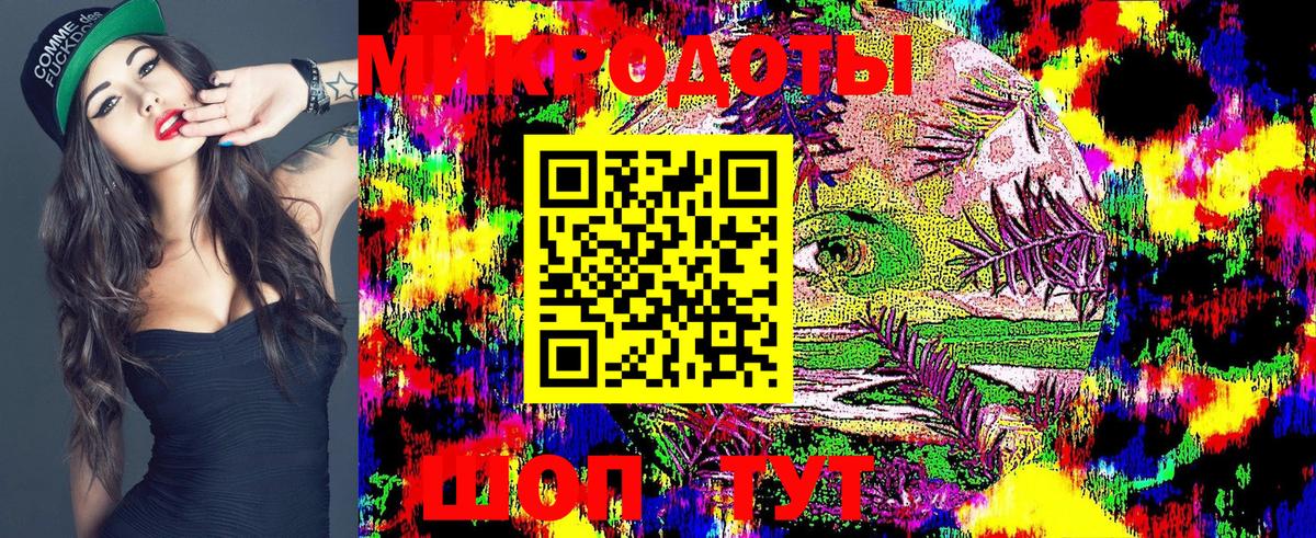 Галлюциногенные грибы Psilocybe Курчалой