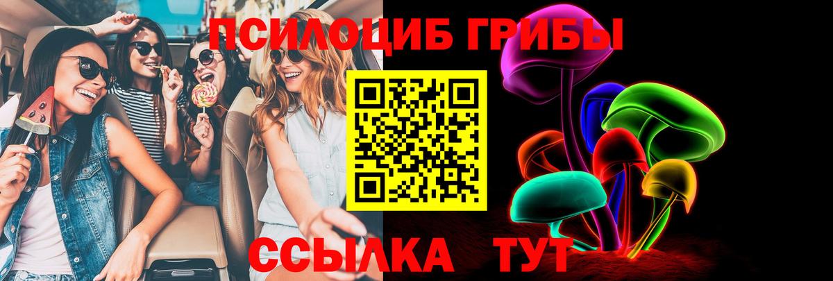 Галлюциногенные грибы Psilocybe  Вход с VPN  Курчалой 